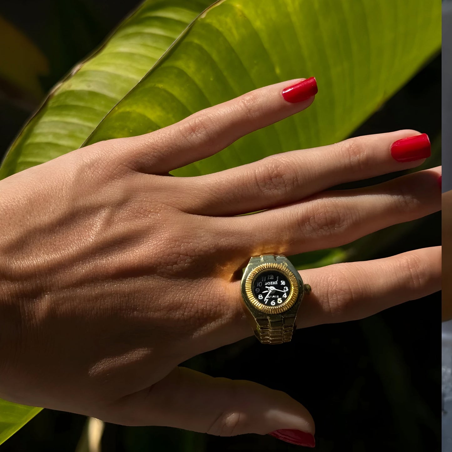 Gold Chrono Ring | Black